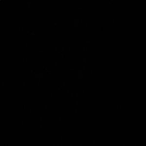 Meet your Posher, Bobby